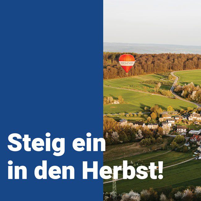 Newsletter September 2025